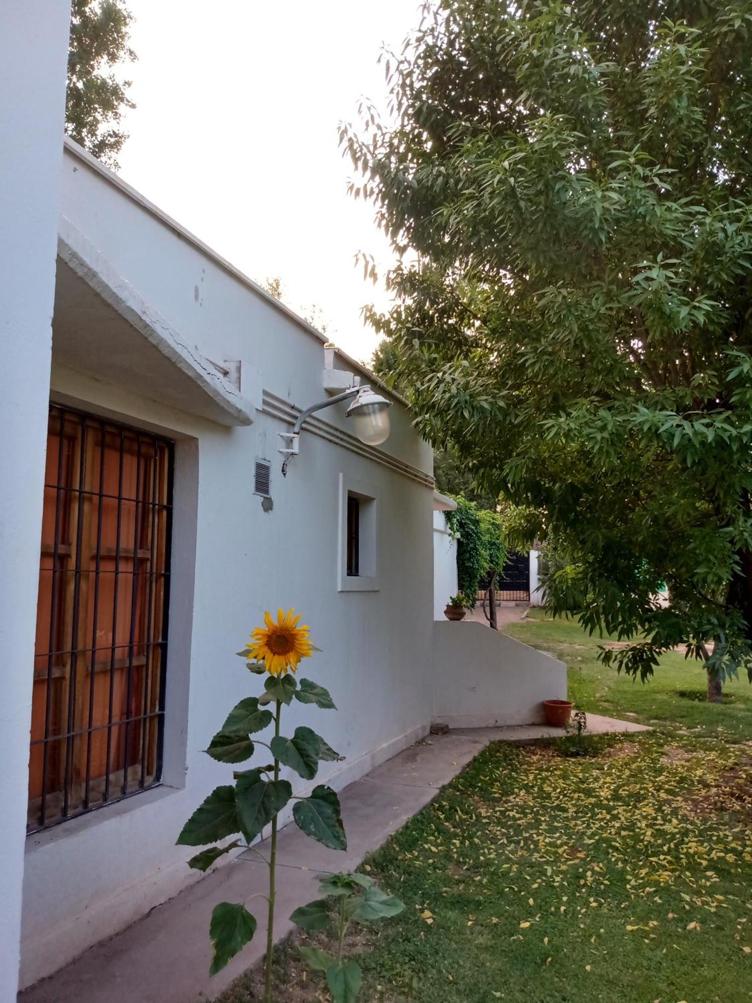 Bed and Breakfast Los Siete Chakras Lujan de Cuyo Zewnętrze zdjęcie