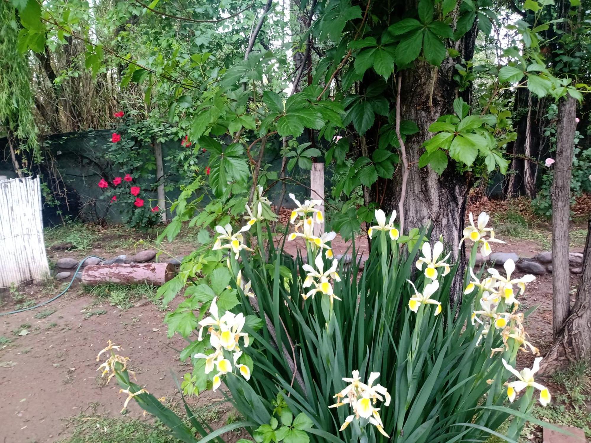 Bed and Breakfast Los Siete Chakras Lujan de Cuyo Zewnętrze zdjęcie