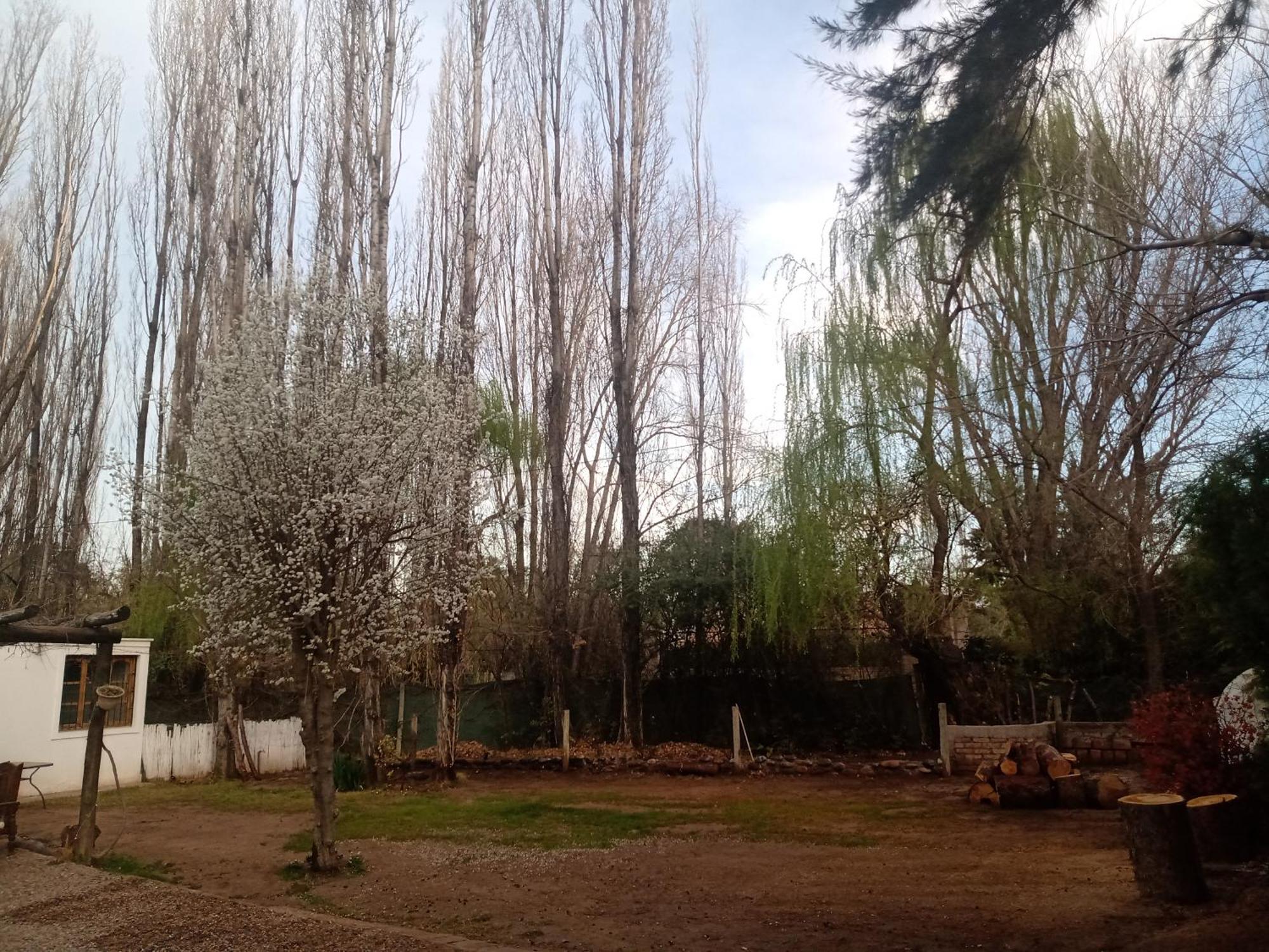 Bed and Breakfast Los Siete Chakras Lujan de Cuyo Zewnętrze zdjęcie