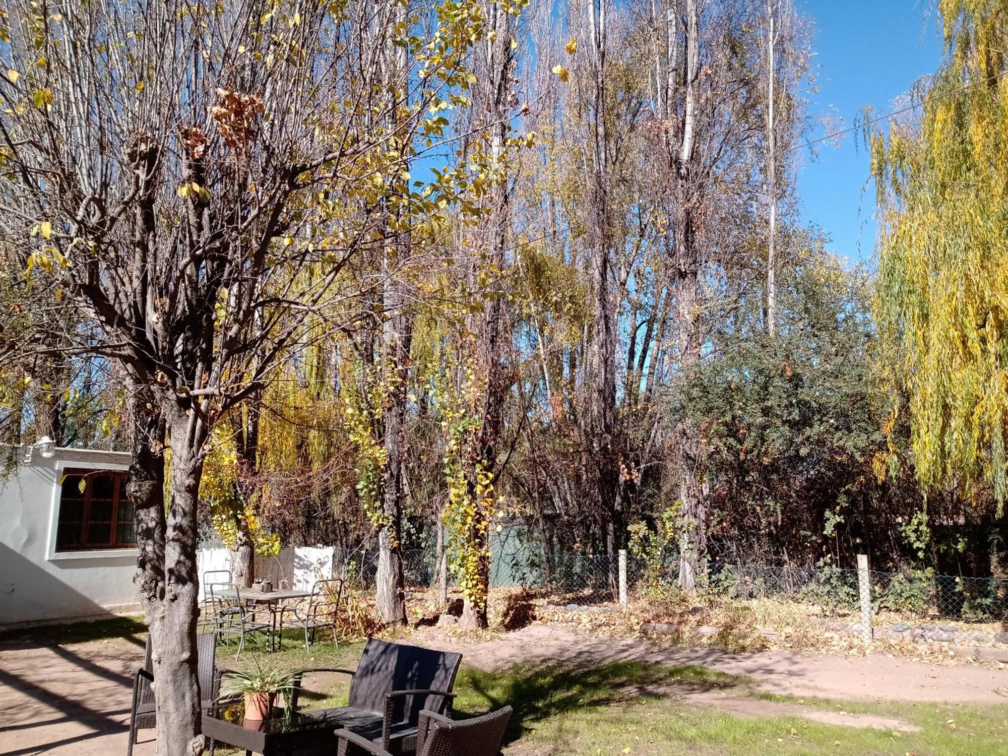 Bed and Breakfast Los Siete Chakras Lujan de Cuyo Zewnętrze zdjęcie